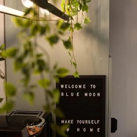 Blue Moon. Cozy Near Iulius Mall Клуж-Напока