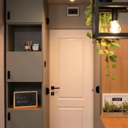 Blue Moon. Cozy Near Iulius Mall Апартаменты