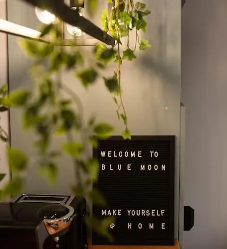 Blue Moon. Cozy Near Iulius Mall Κλουζ-Ναπόκα