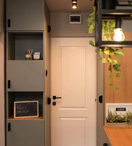 Blue Moon. Cozy Near Iulius Mall Апартаменти