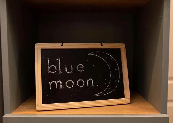 Blue Moon. Cozy Near Iulius Mall Апартаменти *