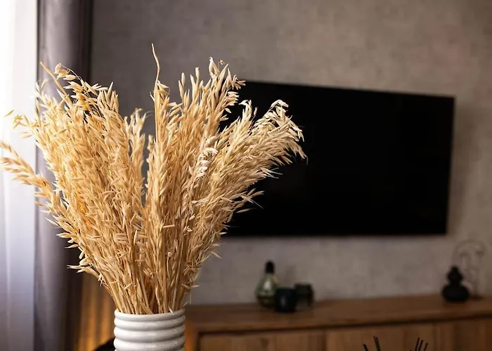 Blue Moon. Cozy Near Iulius Mall Клуж-Напока