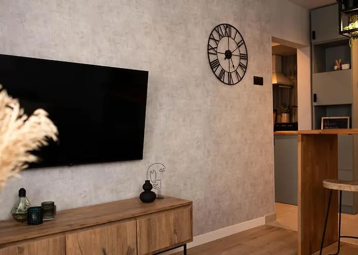 Blue Moon. Cozy Near Iulius Mall Διαμέρισμα *